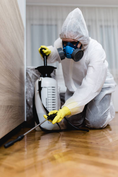 Professional Pest control in Indian Hills, NM